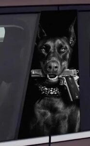 2Doberman Biting Gun Car B-Pillar Decal, Fierce Dog