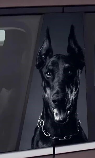 2Black Doberman Metal Chain Car B-Pillar Decal, Fierce Dog