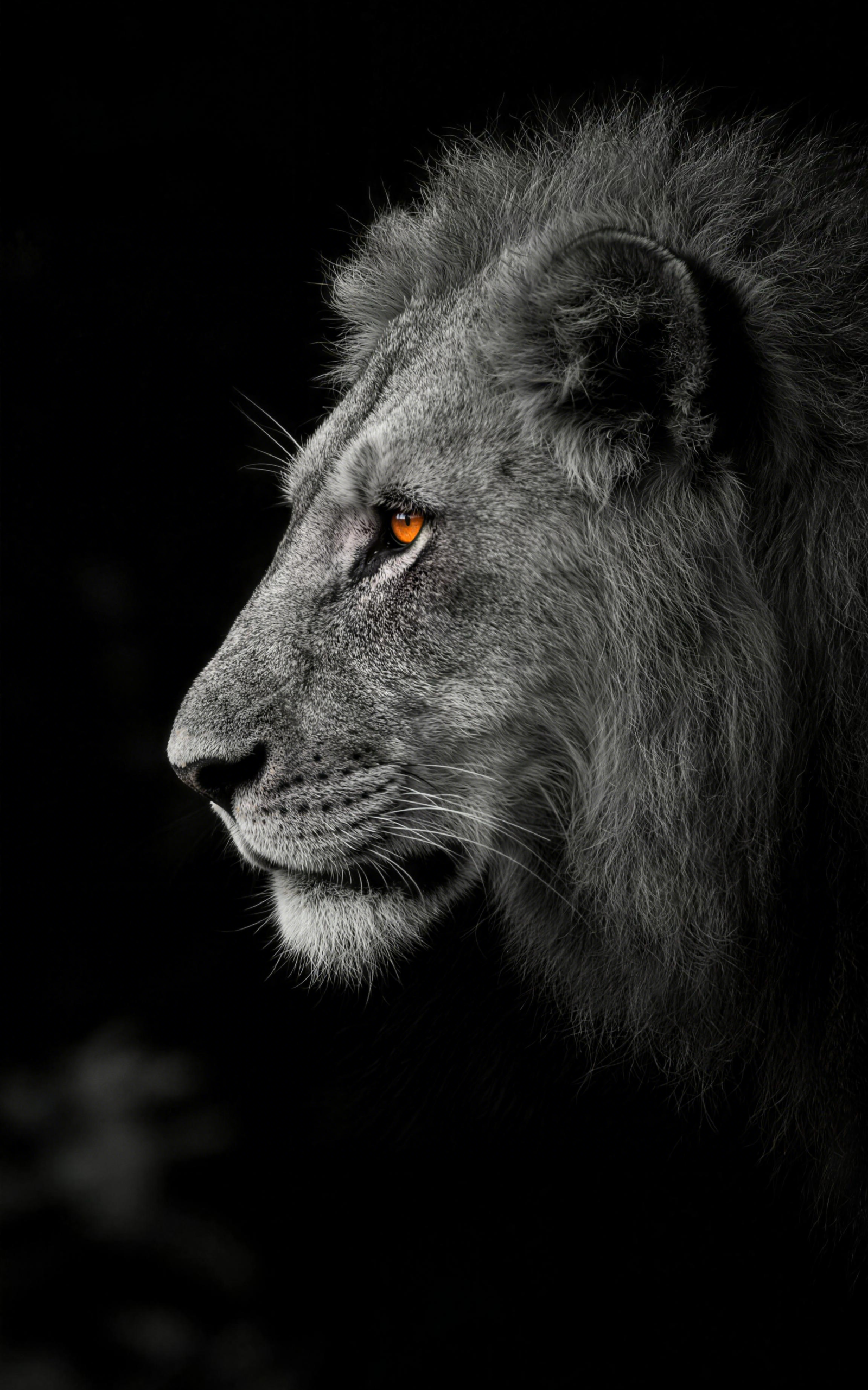 Majestic Lion Portrait Car Center Pillar Sticker 50x24cm 2 Pieces/Set